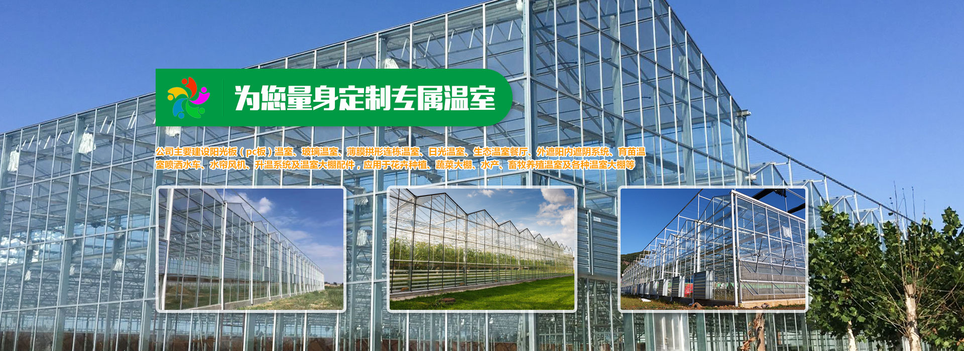 泰安市雙龍線路器材有限公司